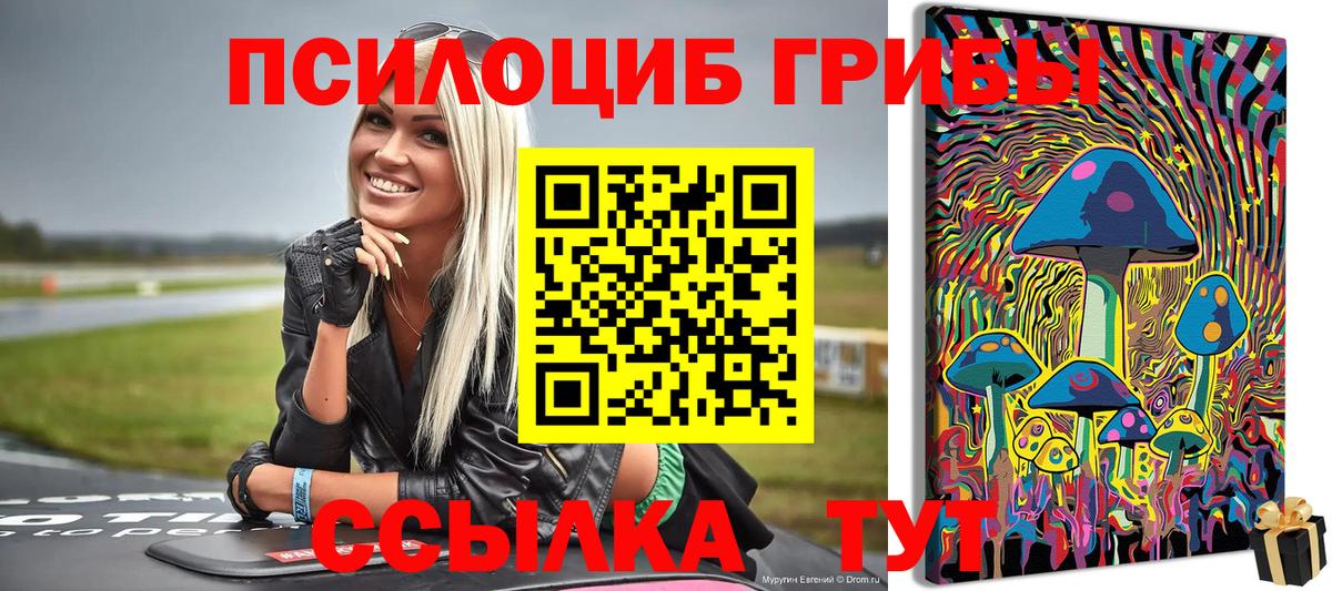 Елец  Галлюциногенные грибы MAGIC MUSHROOMS  Вход с VPN  Псилоцибиновые грибы Cubensis 