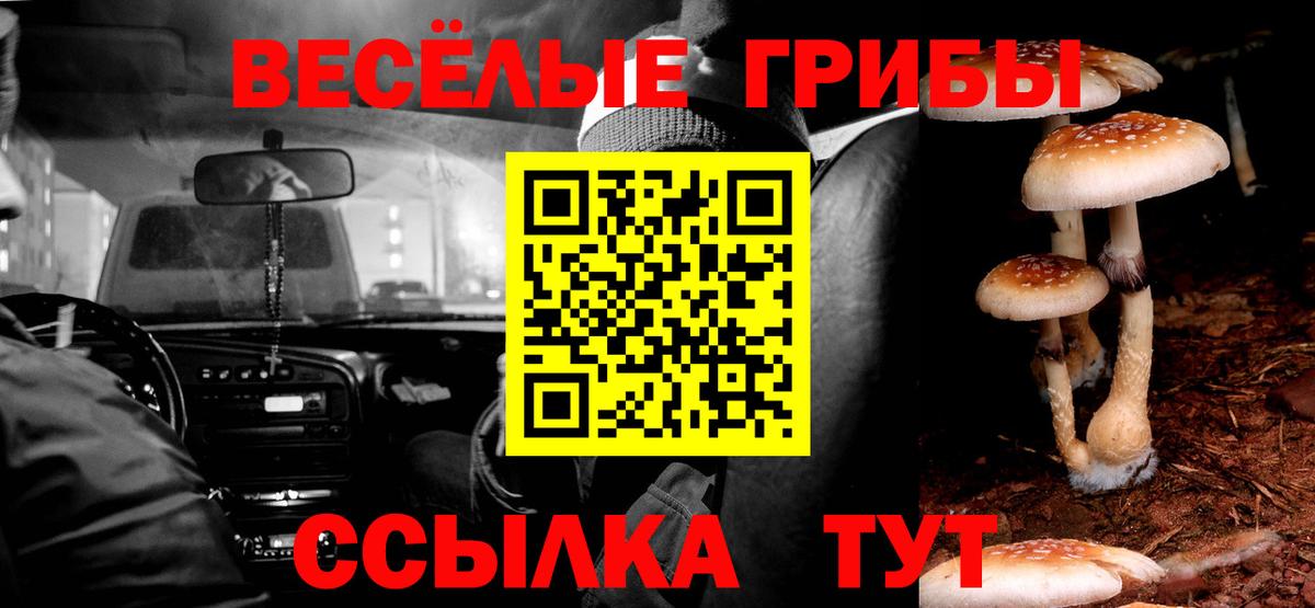 Галлюциногенные грибы мицелий Елец